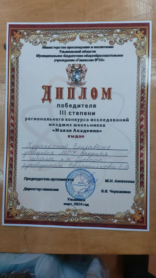 Ученица Сурской школы стала призёром конкурса Малая академия.